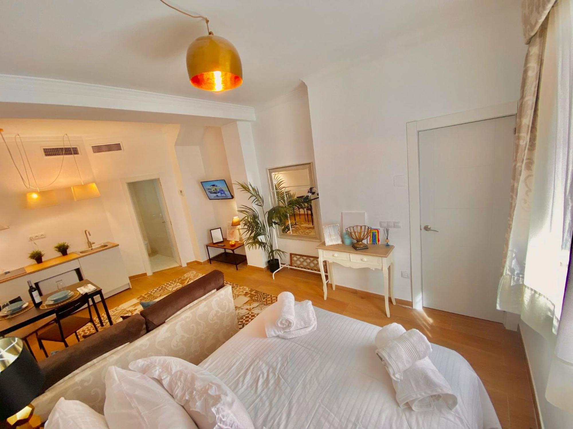 Loft Victoria Centro Historico * Málaga